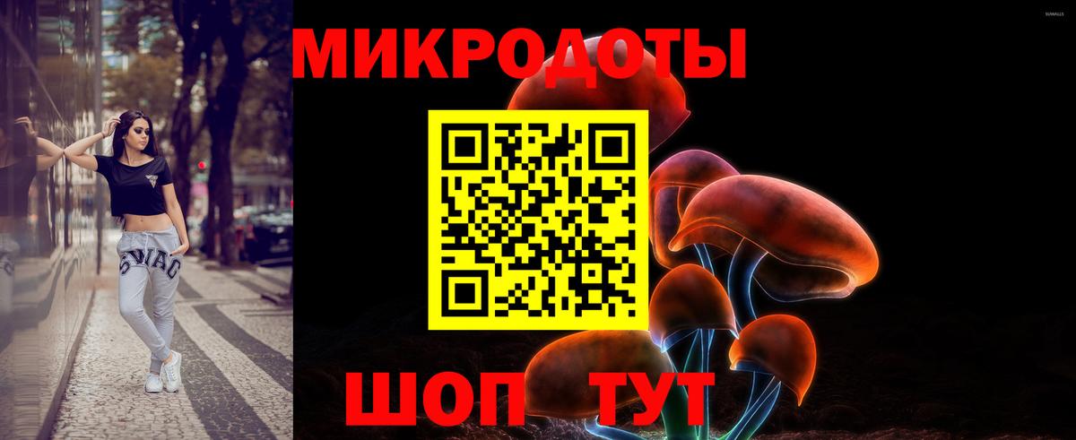 Псилоцибиновые грибы Magic Shrooms Карпинск